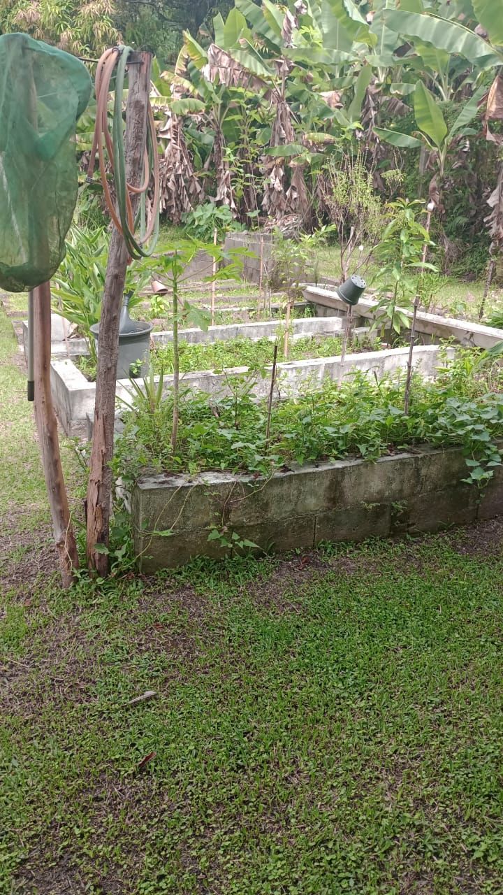 Chácara (10.400m² – Jacareí/Guararema)